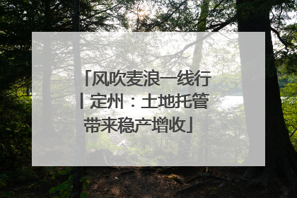 风吹麦浪一线行丨定州：土地托管带来稳产增收