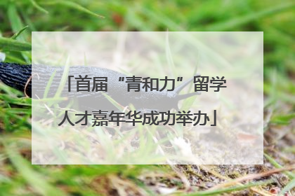 首届“青和力”留学人才嘉年华成功举办