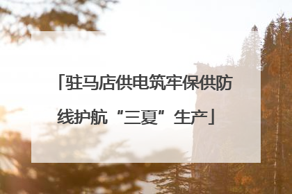 驻马店供电筑牢保供防线护航“三夏”生产