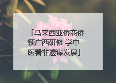 马来西亚侨商侨领广西研修 学中医看非遗谋发展