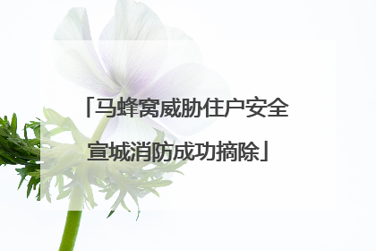 马蜂窝威胁住户安全 宣城消防成功摘除