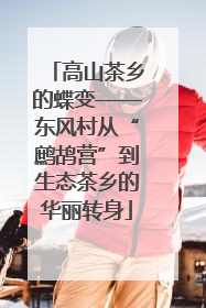 高山茶乡的蝶变——东风村从“鹧鸪营”到生态茶乡的华丽转身