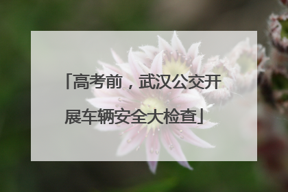 高考前，武汉公交开展车辆安全大检查