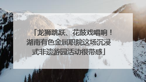 龙狮跳跃、花鼓戏唱响！湖南有色金属职院这场沉浸式非遗游园活动很带感