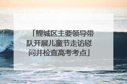 鲤城区主要领导带队开展儿童节走访慰问并检查高考考点