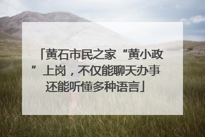 黄石市民之家“黄小政”上岗，不仅能聊天办事还能听懂多种语言