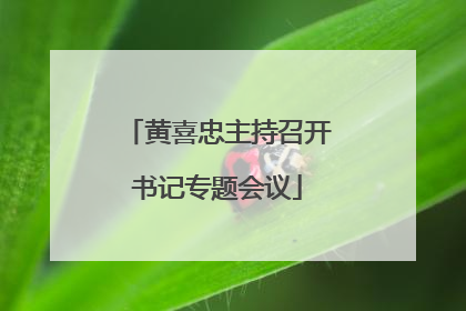 黄喜忠主持召开书记专题会议