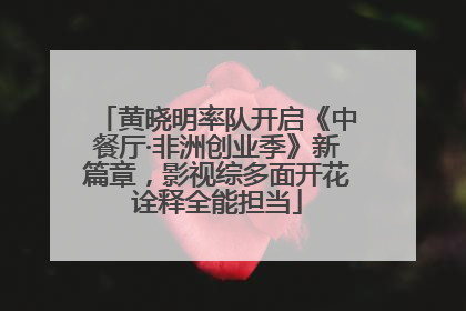 黄晓明率队开启《中餐厅·非洲创业季》新篇章，影视综多面开花诠释全能担当