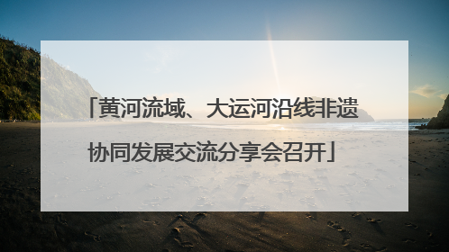黄河流域、大运河沿线非遗协同发展交流分享会召开