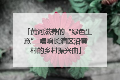黄河滋养的“绿色生意” 唱响长清区沿黄村的乡村振兴曲