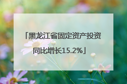 黑龙江省固定资产投资同比增长15.2%