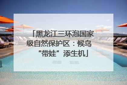 黑龙江三环泡国家级自然保护区：候鸟“带娃”添生机