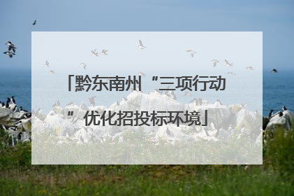 黔东南州“三项行动”优化招投标环境