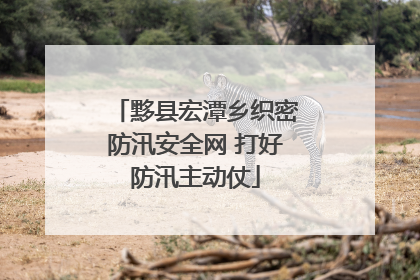 黟县宏潭乡织密防汛安全网 打好防汛主动仗