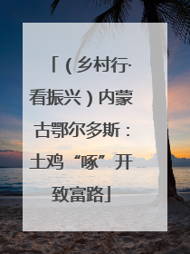 （乡村行·看振兴）内蒙古鄂尔多斯：土鸡“啄”开致富路