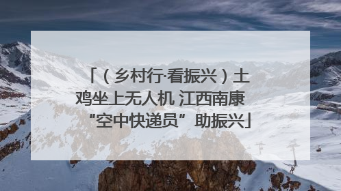 （乡村行·看振兴）土鸡坐上无人机 江西南康“空中快递员”助振兴