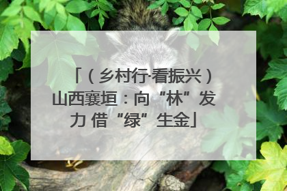 （乡村行·看振兴）山西襄垣：向“林”发力 借“绿”生金