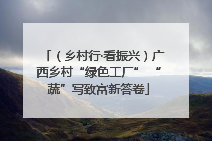（乡村行·看振兴）广西乡村“绿色工厂” “蔬”写致富新答卷
