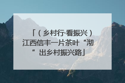 （乡村行·看振兴）江西信丰一片茶叶“沏”出乡村振兴路
