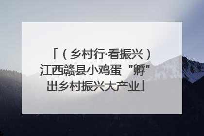 （乡村行·看振兴）江西赣县小鸡蛋“孵”出乡村振兴大产业