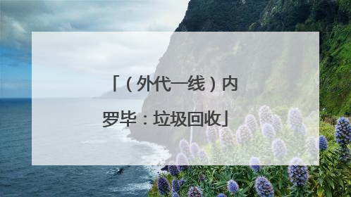 （外代一线）内罗毕：垃圾回收