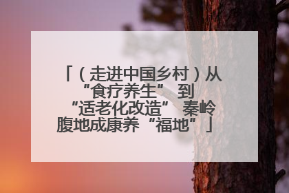 （走进中国乡村）从 “食疗养生” 到 “适老化改造” 秦岭腹地成康养“福地”