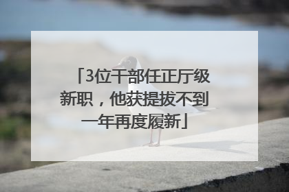 3位干部任正厅级新职，他获提拔不到一年再度履新