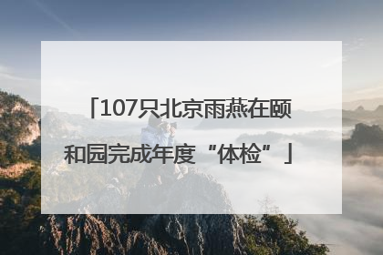 107只北京雨燕在颐和园完成年度“体检”