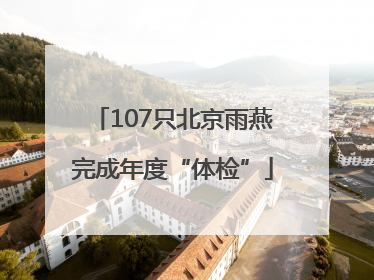 107只北京雨燕完成年度“体检”