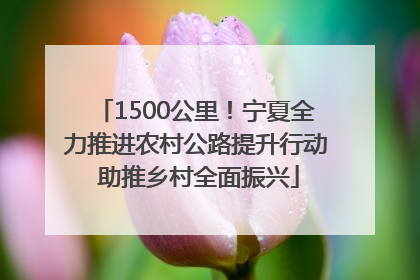 1500公里！宁夏全力推进农村公路提升行动 助推乡村全面振兴