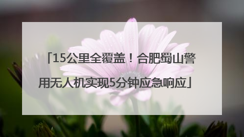 15公里全覆盖！合肥蜀山警用无人机实现5分钟应急响应