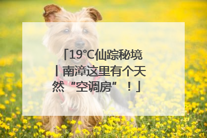 19℃仙踪秘境丨南漳这里有个天然“空调房”！