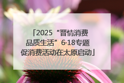 2025“晋情消费 品质生活”6·18专题促消费活动在太原启动