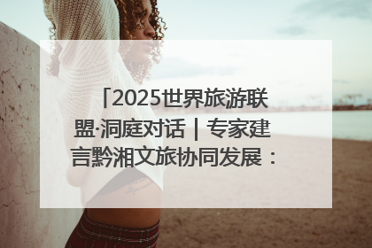 2025世界旅游联盟·洞庭对话｜专家建言黔湘文旅协同发展：聚焦产品稀缺性 深化区域经验共享