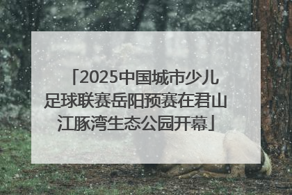 2025中国城市少儿足球联赛岳阳预赛在君山江豚湾生态公园开幕