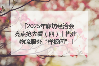 2025年廊坊经洽会亮点抢先看（四）丨搭建物流服务“样板间”