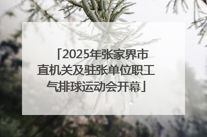 2025年张家界市直机关及驻张单位职工气排球运动会开幕