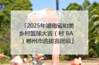 2025年湖南省和美乡村篮球大赛（村 BA）郴州市选拔赛闭幕