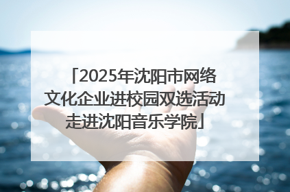 2025年沈阳市网络文化企业进校园双选活动走进沈阳音乐学院