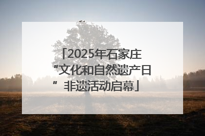 2025年石家庄“文化和自然遗产日”非遗活动启幕