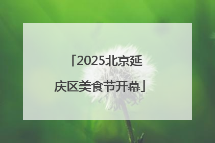 2025北京延庆区美食节开幕