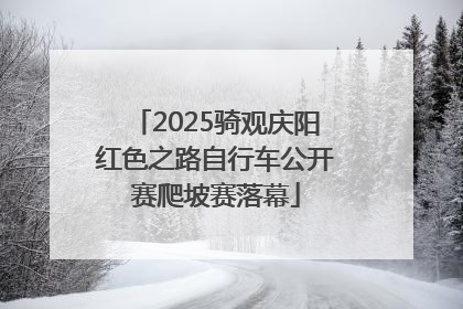 2025骑观庆阳红色之路自行车公开赛爬坡赛落幕