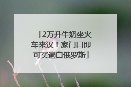 2万升牛奶坐火车来汉！家门口即可买遍白俄罗斯