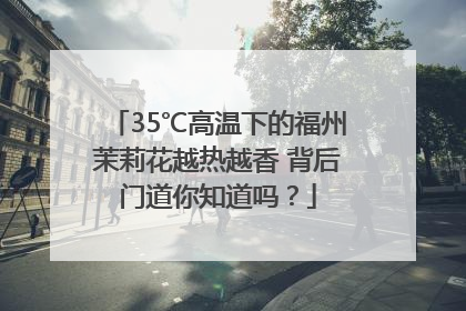 35℃高温下的福州茉莉花越热越香 背后门道你知道吗？