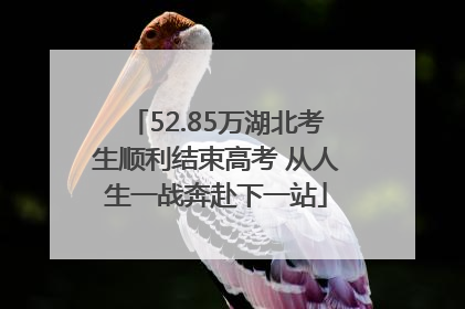 52.85万湖北考生顺利结束高考 从人生一战奔赴下一站