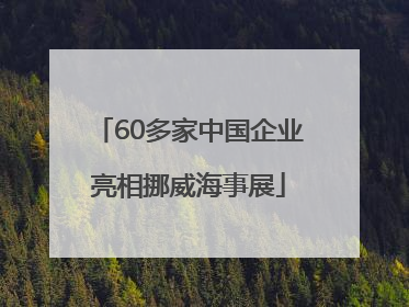 60多家中国企业亮相挪威海事展