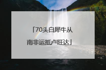 70头白犀牛从南非运抵卢旺达