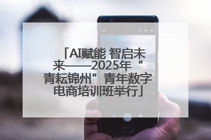AI赋能 智启未来——2025年“青耘锦州”青年数字电商培训班举行