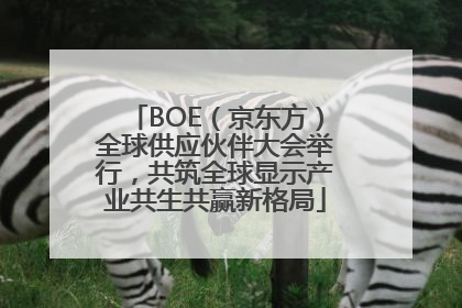 BOE（京东方）全球供应伙伴大会举行，共筑全球显示产业共生共赢新格局