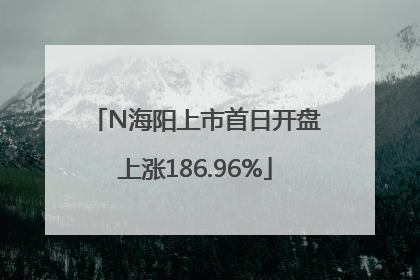 N海阳上市首日开盘上涨186.96%